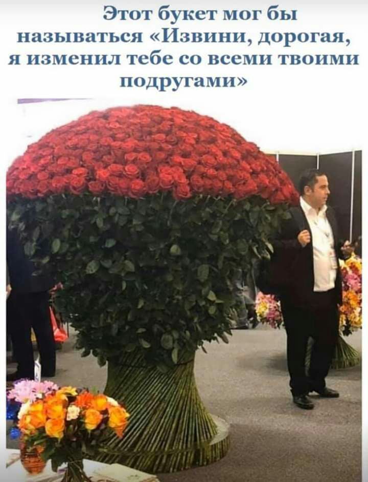 Этот букет мог б 1 называться Извини дорогая изменил 60 со всеми твоими ПОДРУГНПХН