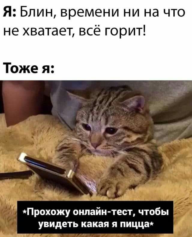 Я Блин времени ни на что не хватает всё горит Тоже я Прохожу онлайн тест чтобы увидеть какая я пицца