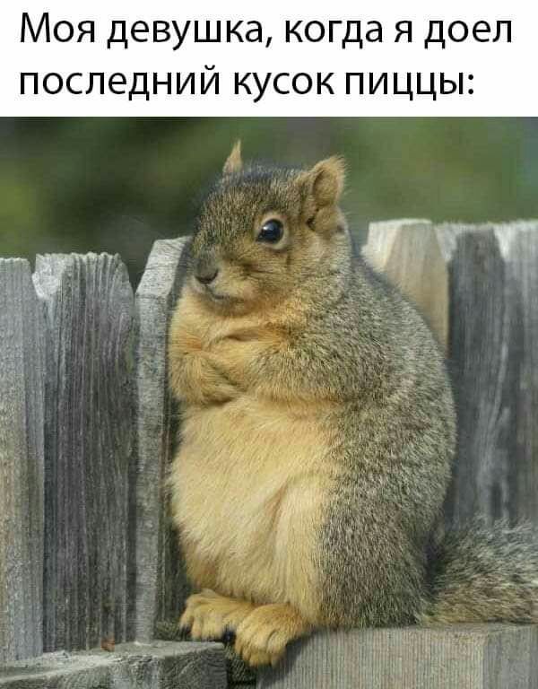 Моя девушка когда я доел последний кусок пиццы