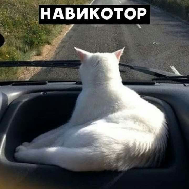 77