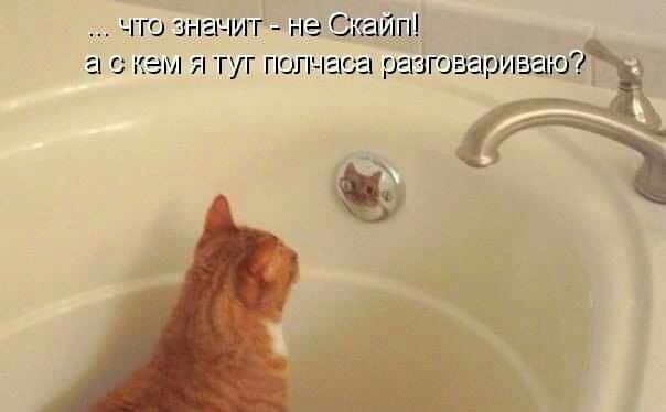 __