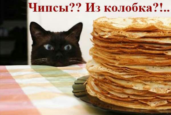 ЩЖ 13 Щ