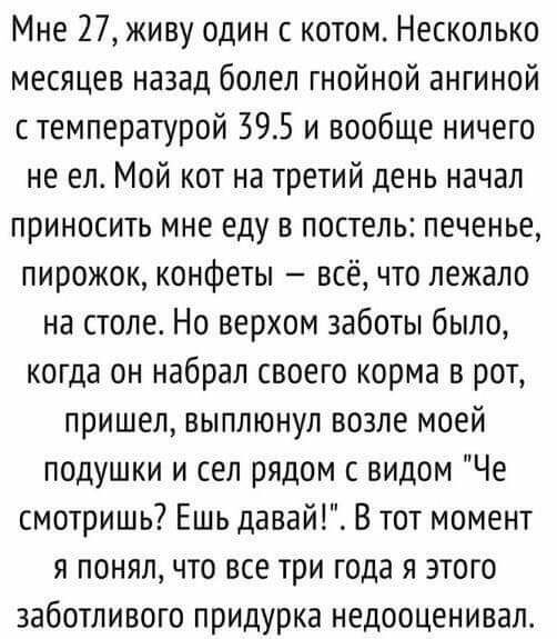 Мне 27 живу один с котом Несколько месяцев назад болел гнойной ангиной с температурой 395 и вообще ничего не ел Мой кот на третий день начал приносить мне еду в постель печенье пирожок конфеты всё что лежало на столе Но верхом заботы было когда он набрал своего корма в рот пришел выплюнул возле моей подушки и сел рядом с видом Че смотришь Ешь давай В тот момент я понял что все три года я этого заб