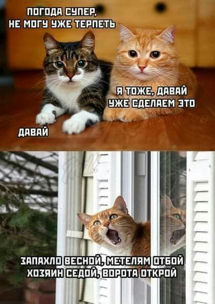 ППГПДП ЕНПЕР НЕ МПГ НЖЕ ТЕРПЕТЬ