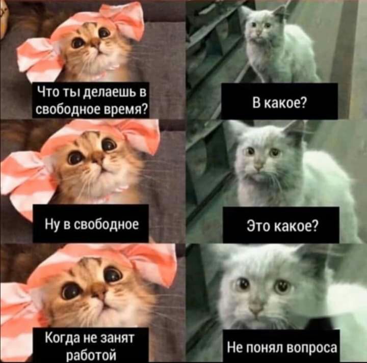 д ЁЁ Что ты делаешь в свободное время Ну в свободное Это какое Когда не занят работой Не ПОНЯЛ вопроса