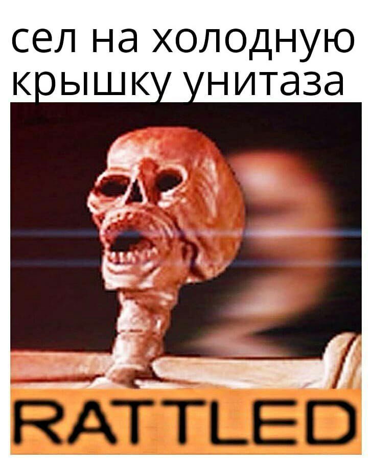 СЕЛ Нд ХОЛОДНУЮ НИТдЗд