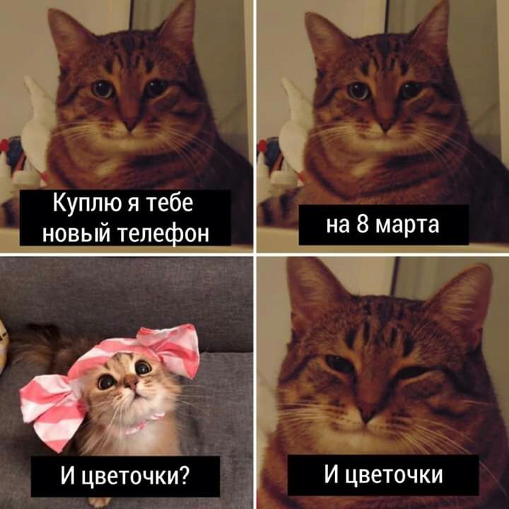И цветочки И цветочки 41