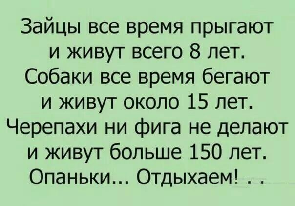 Зайцы все время прыгают и живут всего 8 лет Собаки все время бегают и живут около 15 лет Черепахи ни фига не делают и живут больше 150 лет Опаньки Отдыхаем