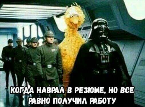 Аіуё А ёргдЁА ШШРАЛ В РЕЗЮМЕ но ВСЕ РАВНО подучил РАБВТУ