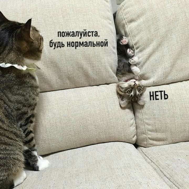 пожалуйста будь нормальной