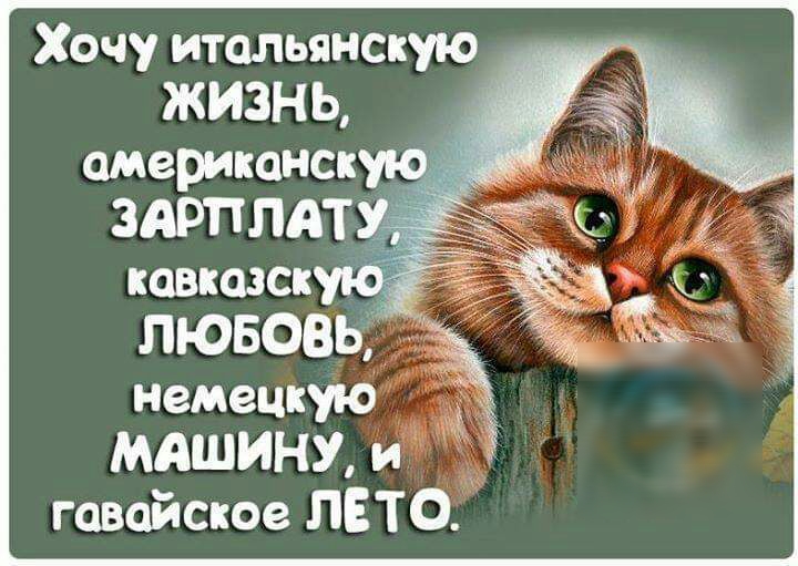 Хочу итальянскую ЖИЗНЬ американок немецкую МАШИНУ и гавайское ЛЕТО