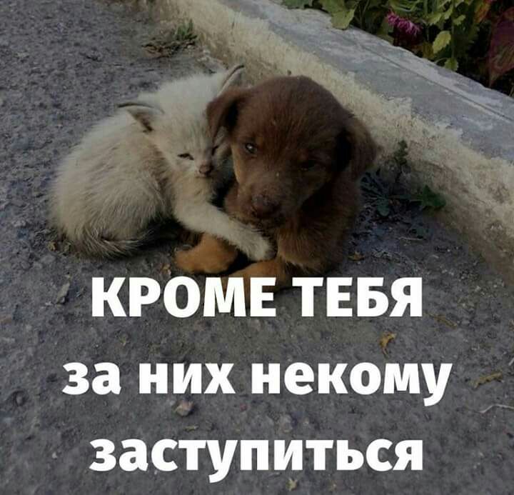 КРОМЕ ТЕБЯ за них некому заступиться