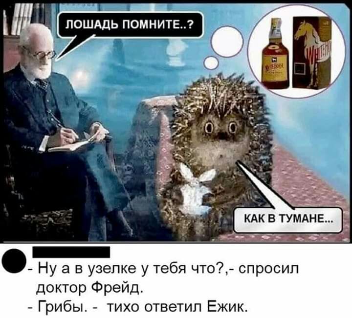 Ну а в узепке у тебя чт спросил доктор Фрейд Грибы тихо ответил Ежик