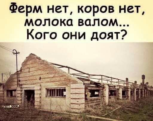 Ферм нет коров нет молока валом Кого они доят
