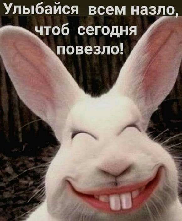 Улыбайся всем назло чтоб сегодня повезло