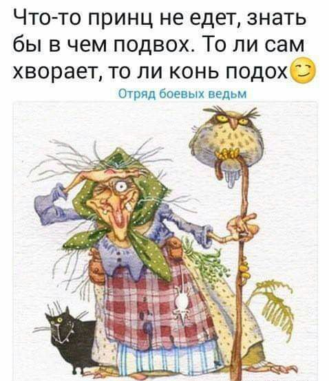 ЧТО ТО принц не едет ЗНЗТЬ бы В чем ПОДВОХ ТО ЛИ сам хворает ТО ЛИ КОНЬ ПОДОХ Отряд боевых ведьм
