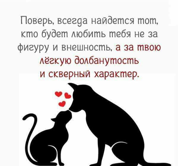 Поверь всег9а найдется тот кто будет любить тебя не за фигуру и внешность а за твою лёгкую бОАбанутость и скверный характер 6 О