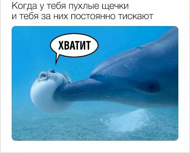 Когда у тебя пухлые щечки и тебя за них постоянно тискают
