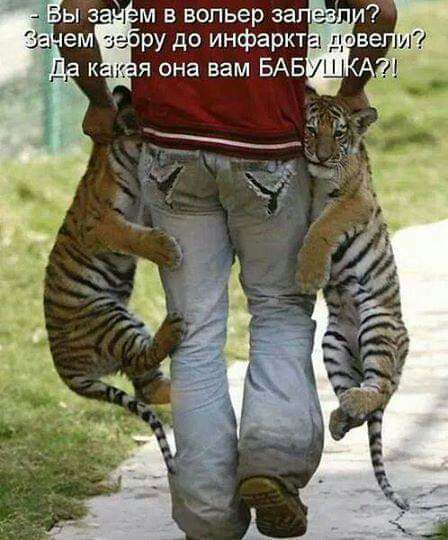м в вольер за ру до инфаркт я она вам БАБ