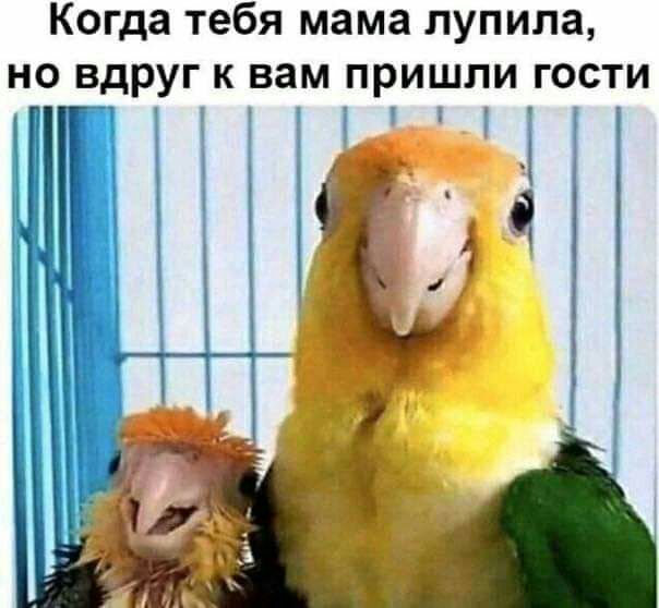 Когда тебя мама лупила но вдруг к вам пришли гости