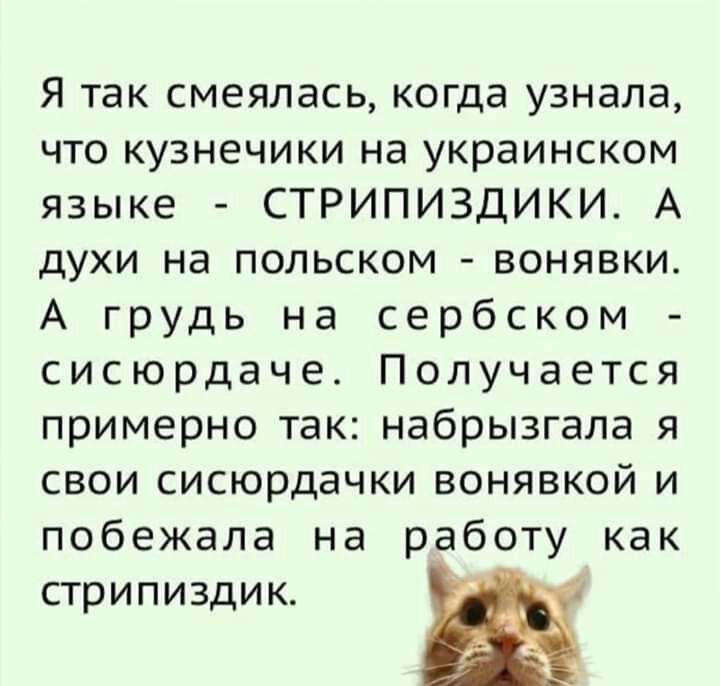 Я так смеялась когда узнала что кузнечики на украинском языке СТРИПИЗДИКИ А духи на польском вонявки А грудь на сербском сисюрдаче Получается примерно так набрызгала я свои сисюрдачки вонявкой и побежала на работу как стрипиздик Ш