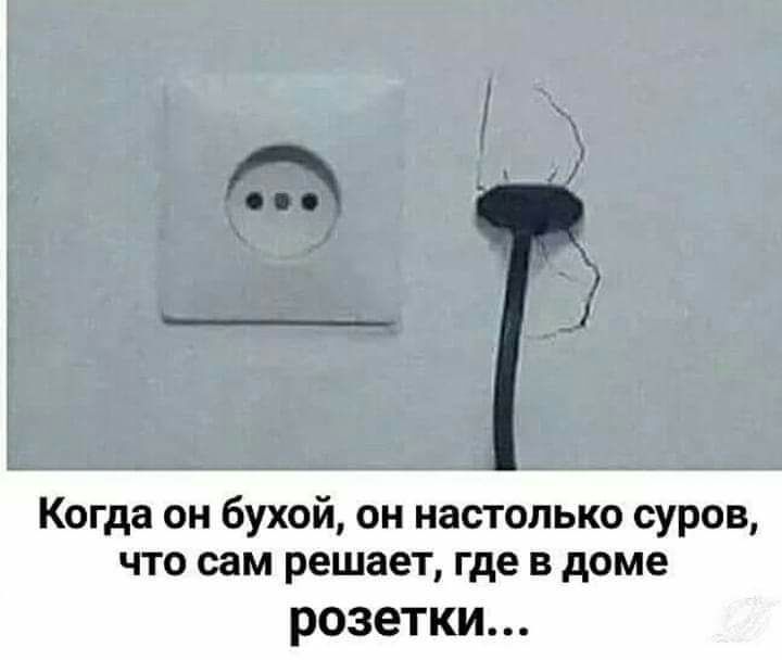 Котоматрица: А чего мне бояться Волка, подумала Красная Шапочка Лес я знаю, Секс люблю