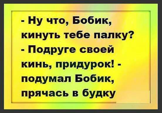 Ну что Бобик кинуть тебе папку Подруге своей кинь придурок подумал Бобик прячась в будку