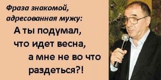 Фраза знакомой адресованная мужу А ты подумал что идет весна а мне не во что раздеться
