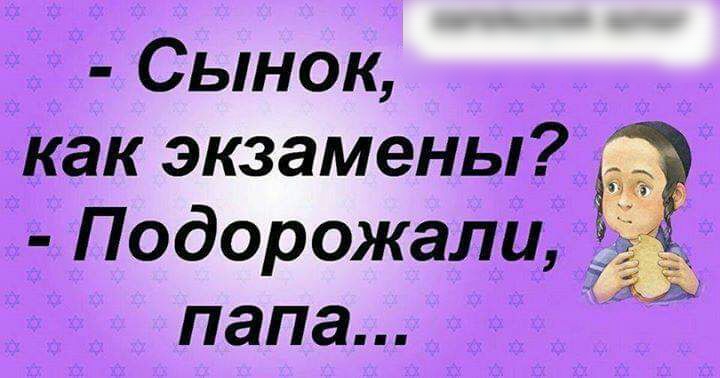Сынок как экзамены Подорожали папа