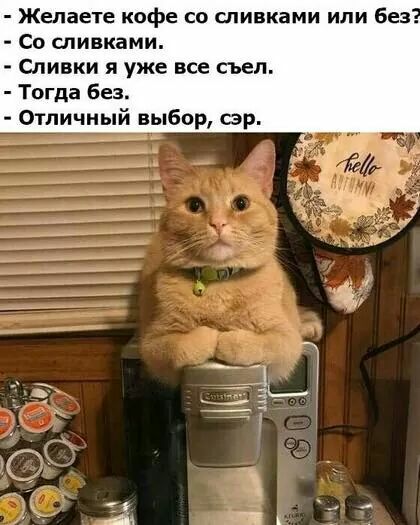 Желаете кофе со сливками или без Со сливками Сливки я уже все съел