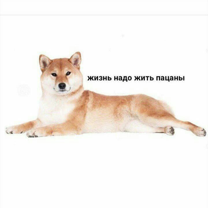 ЖИЗНЬ надо ЖИТЬ пацаны