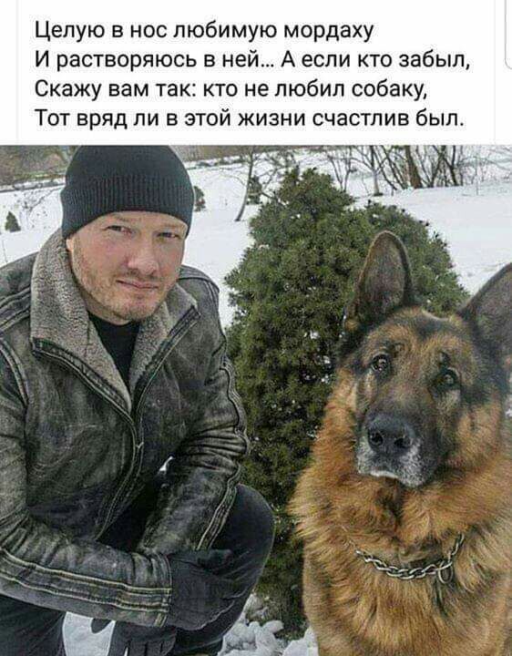 Целую в нос любимую мордаху И растворяюсь в ней А если кто забыл Скажу вам так кто не любил собаку Тот вряд ли в этой жизни счастлив был