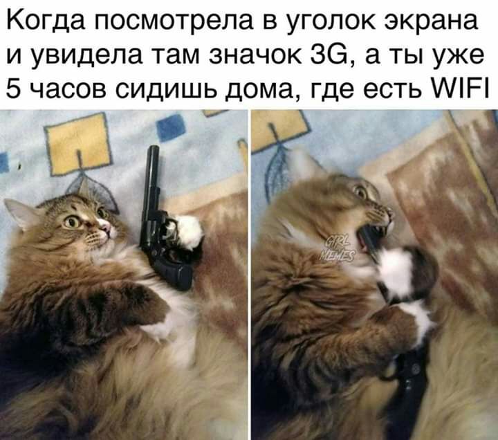 Когда посмотрела в уголок экрана и увидела там значок 36 а ты уже 5 часов сидишь дома где есть Р