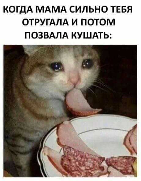 КОГДА МАМА СИЛЬНО ТЕБЯ ОТРУГАЛА И ПОТОМ ПОЗВАЛА КУШАТЬ