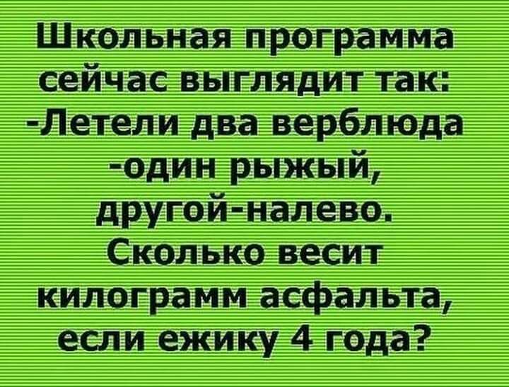 Школьная программа сейчас выглядит так Летели два верблюда один рыжый другой налево Сколько весит килограмм асфальта если ежику 4 года