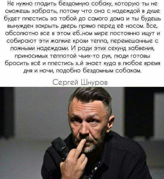Не нужно гладить бездомную собаку которую ты не сможешь забрать потому то оно с надеждой в душе будет ппестись за тобой до самого дома и ты будешь вынужден закрыть дверь прямо пгргд ее носом Все обсолютно вси в этом ебном мире постоянно ищут и собирают ЭТИ ЖОПКИВ крохи ТЕПЛО перемешанные С помными надеждами И ради этих секунд забвения приносимых типпотой чьихТО рук пюди готовы бросить все и ппости