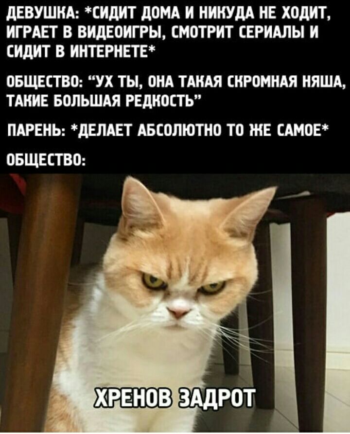 дЕВУШИА СИдИТ дОМА И ИИИУДА НЕ ХОДИТ ИГРАЕТ В ВИДЕОИГРЫ СМОТРИТ СЕРИАЛЫ И СИДИТ В ИНТЕРНЕТЕ ОБЩЕСТВО УХ ТЫ ОНА ТАИАЯ СИРОМНАЯ ИЯША ТАКИЕ БОЛЬШАЯ РЕДКОСТЬ ПАРЕНЬ дЕЛАЕТ АБСОЛЮТНО ТО ЖЕ САМОЕ ОБЩЕСТВО ХРЕ НОВ ЗАДРОТ