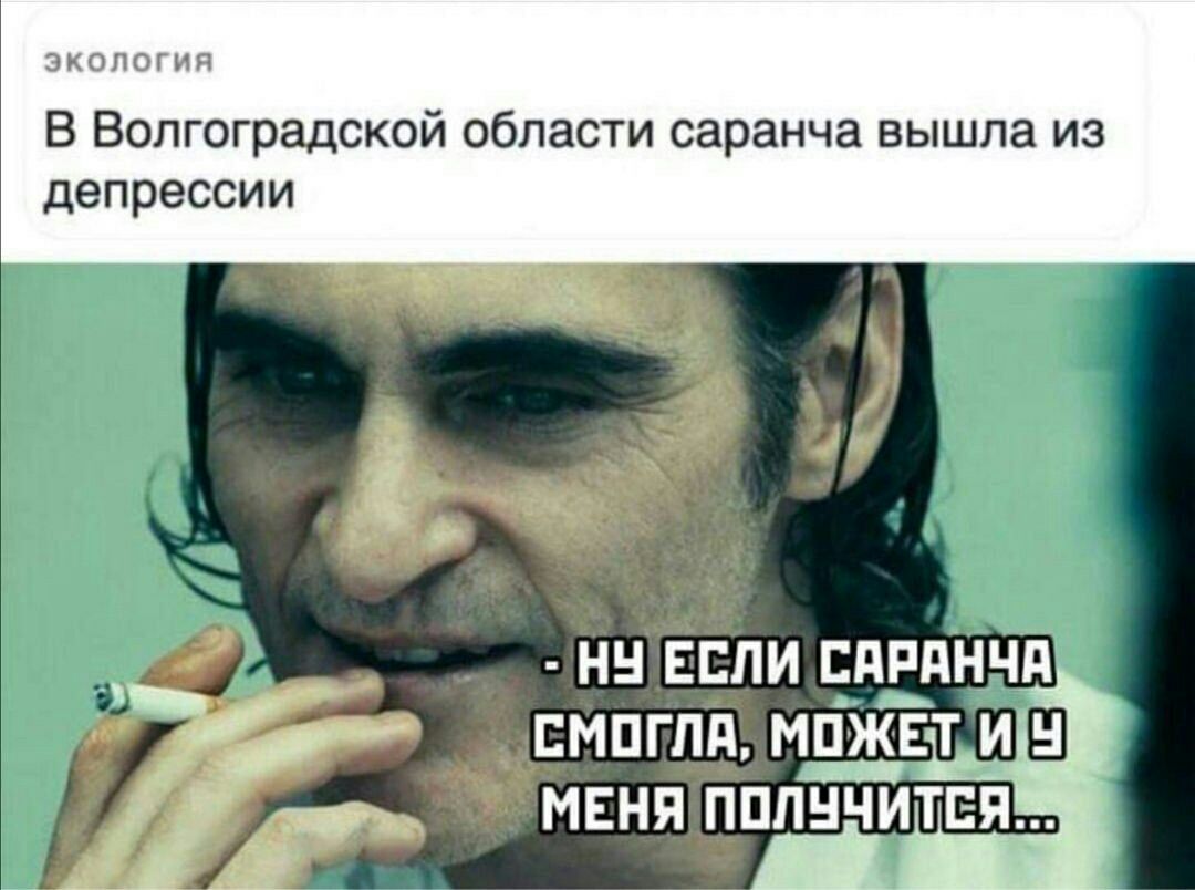 ЭКОЛОГИЯ В Волгоградской области саранча вышла из депрессии НН ЕСЛИ ЭНЕПНЧП СМПГПд МДХ _ЕТ И Н а МЕНЯ ПППНЧИТЕЯ _ а А