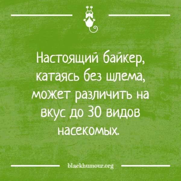 Настоящий байкер катаясь без шлема может различтъ на вкус до 30 видов насекомых ЬЬюЪЬипюпгш д