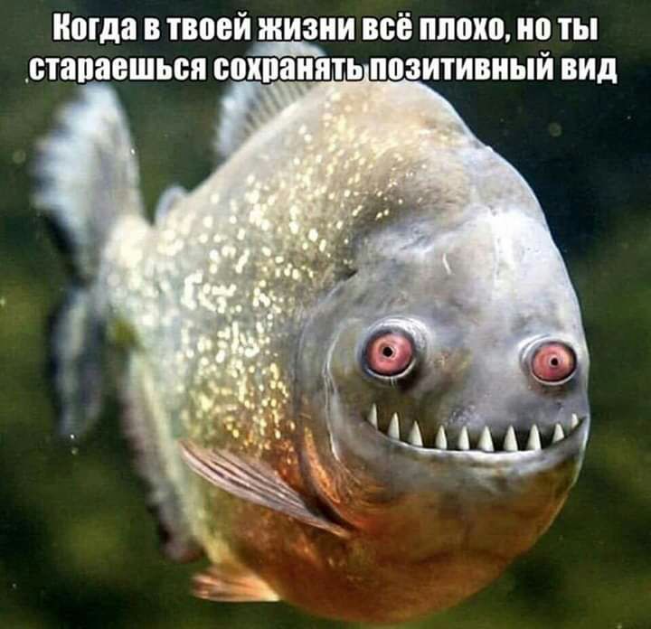 Когда В твоей ЖИЗНИ ВСЁ плохо но ТЫ отапаешься 00 позитивный ВИД