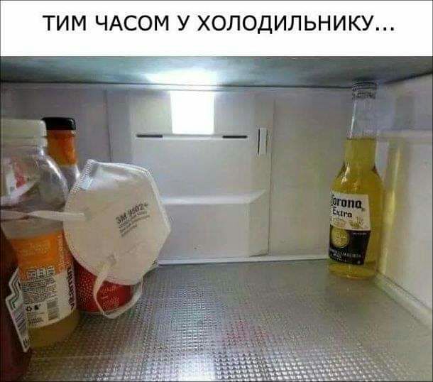 ТИМ ЧАСОМ У ХОЛОДИЛЬНИКУ