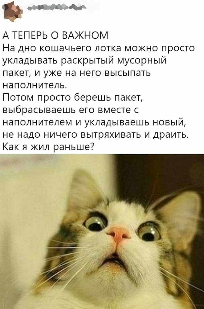 в сайта А ТЕПЕРЬ О ВАЖНОМ На дно кошачьего лотка можно просто укладывать раскрытый мусорный пакет и уже на него высыпать наполнитель Потом просто берешь пакет выбрасываешь его вместе с наполнителем и укладываешь новый не надо ничего вытряхивать и драить Как я жил раньше