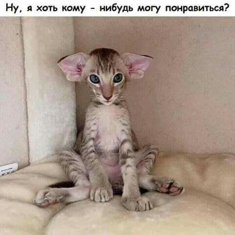 Ну я хоть кому нибудь могу понравиться