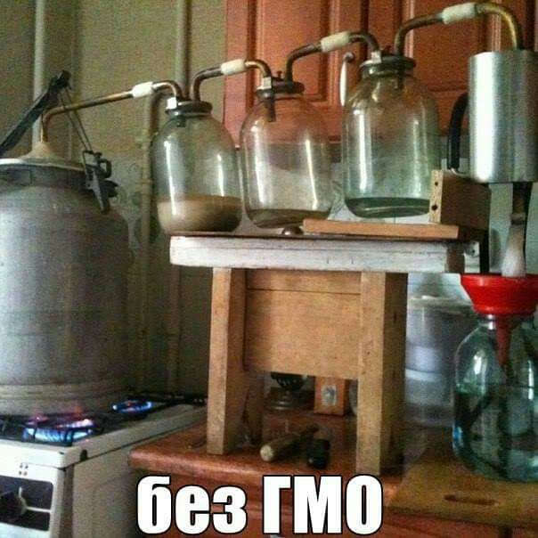 _1 д 5 без тв