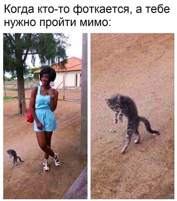 Когда кто то фоткается а тебе нужно пройти мимо _ _ _ _