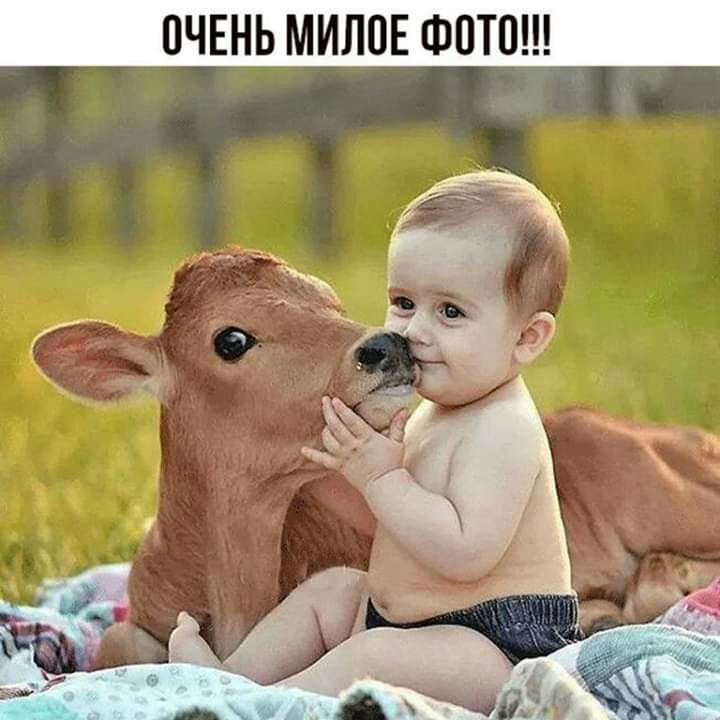ОЧЕНЬ МИПВЕ ФОТО