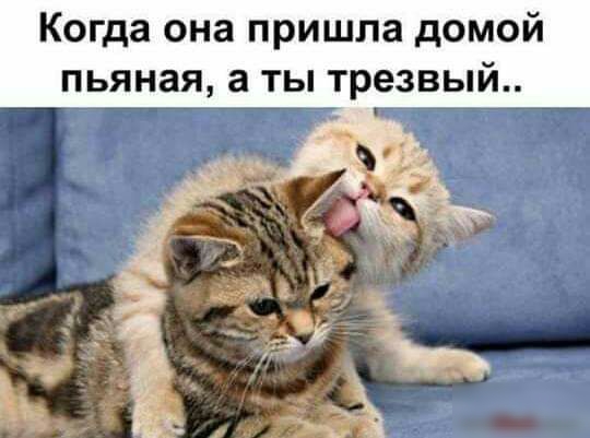 Когда она пришла домой пьяная а ты трезвый