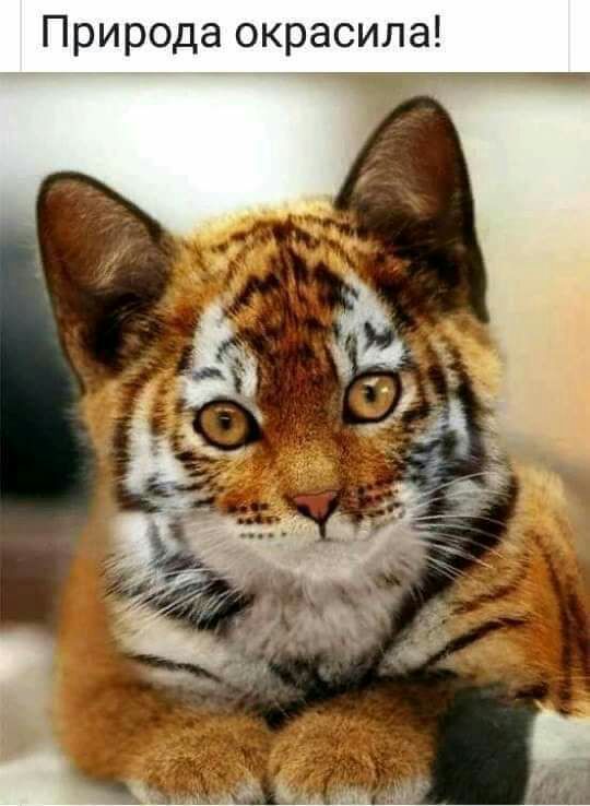 Природа окрасила