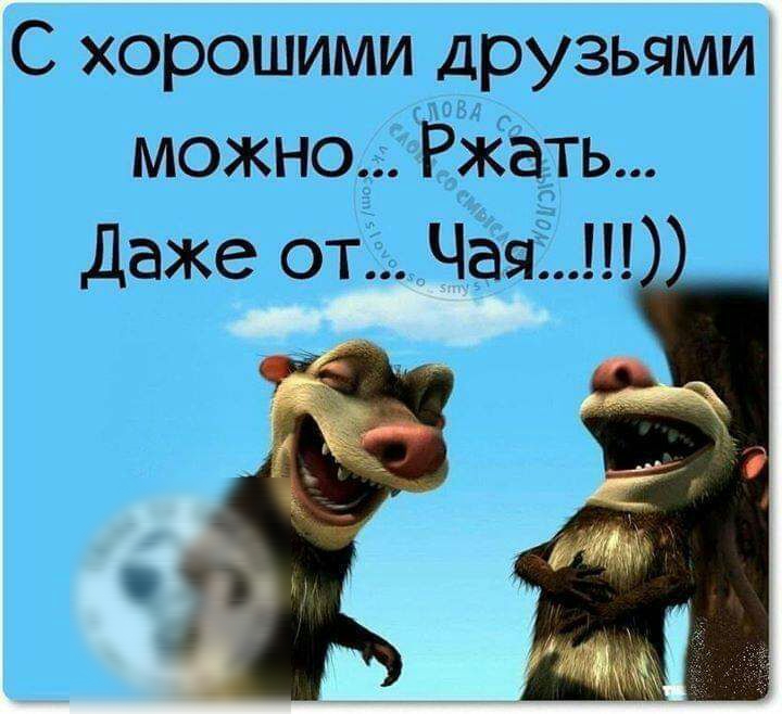 С хорошими друзьями можно Ржать Даже от Чаяш
