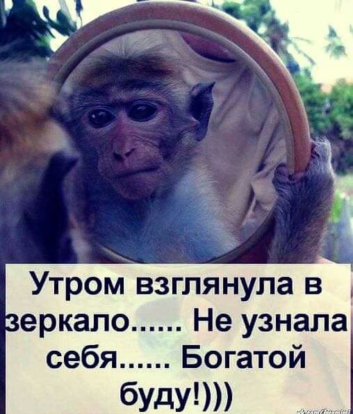 Утром взглянула в еркало Не узнала себя Богатой бУду
